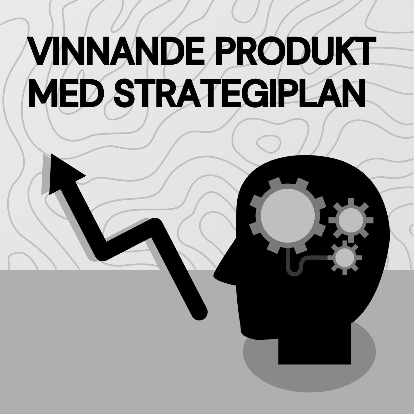 Vinnande produkt m. strategiplan